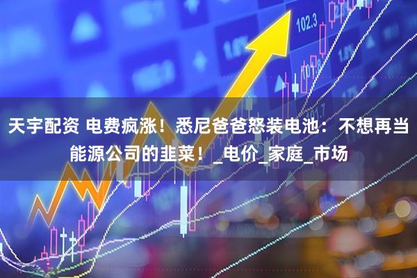 天宇配资 电费疯涨！悉尼爸爸怒装电池：不想再当能源公司的韭菜！_电价_家庭_市场