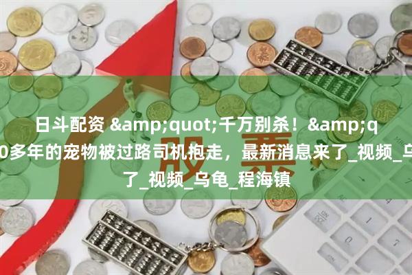 日斗配资 "千万别杀!"养了30多年的宠物被过路司机抱走,最新消息来了_视频_乌龟_程海镇